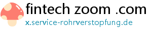 fintech zoom .com